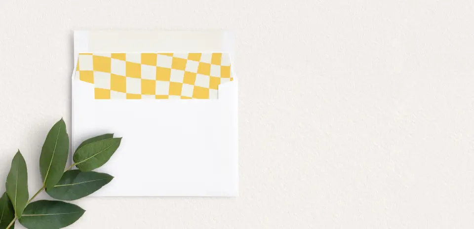 Envelope Liner inside Envelope