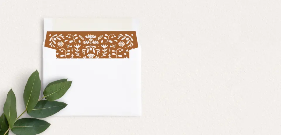 Envelope Liner inside Envelope