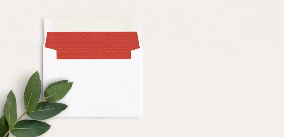 Envelope Liner inside Envelope