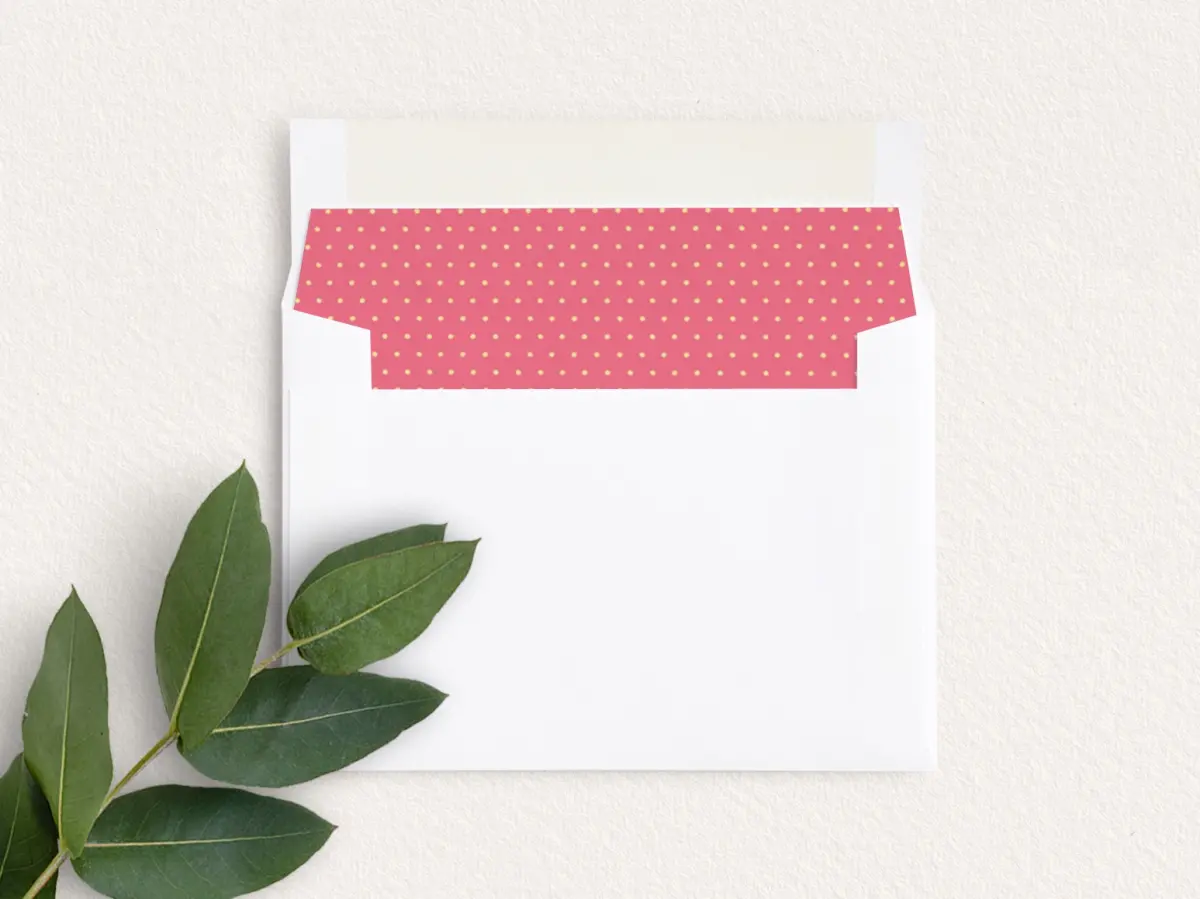 Envelope Liner inside Envelope