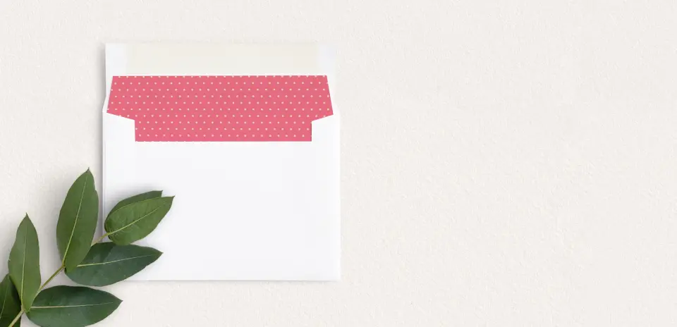 Envelope Liner inside Envelope