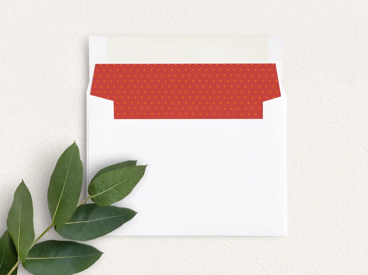 Envelope Liner inside Envelope