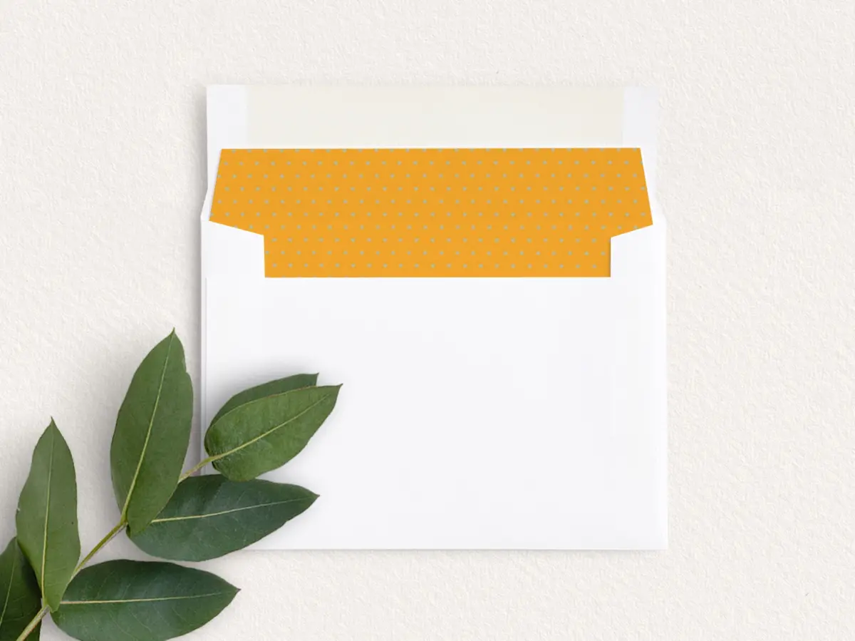Envelope Liner inside Envelope