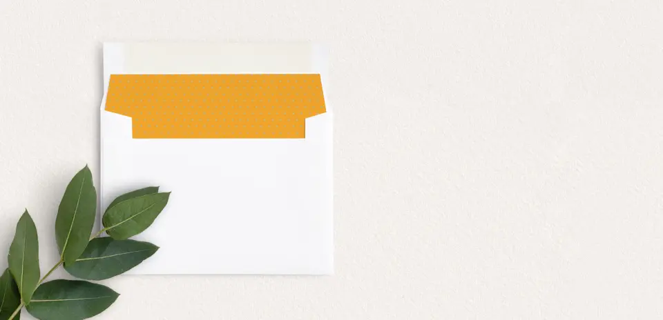 Envelope Liner inside Envelope