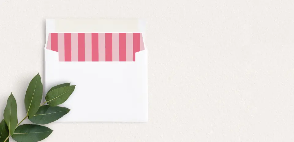 Envelope Liner inside Envelope