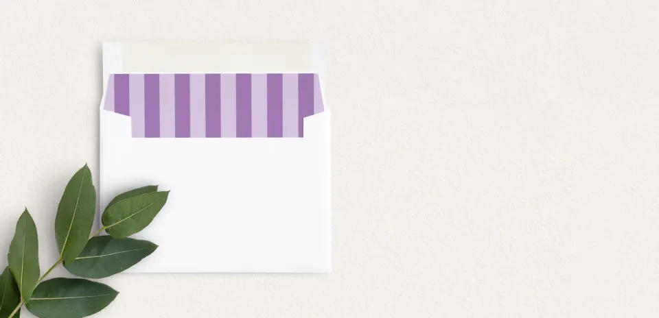 Envelope Liner inside Envelope
