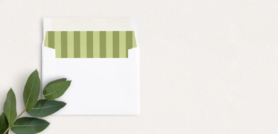 Envelope Liner inside Envelope