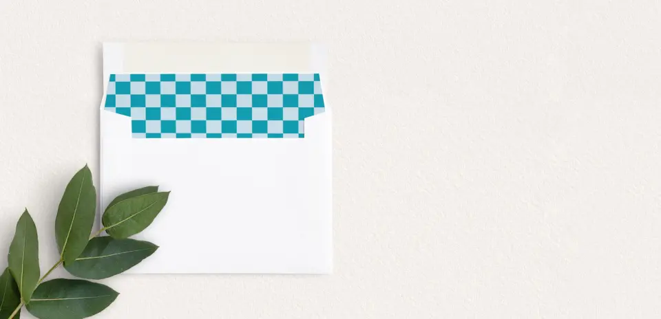 Envelope Liner inside Envelope