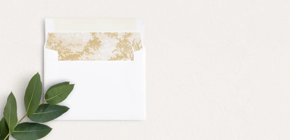 Envelope Liner inside Envelope