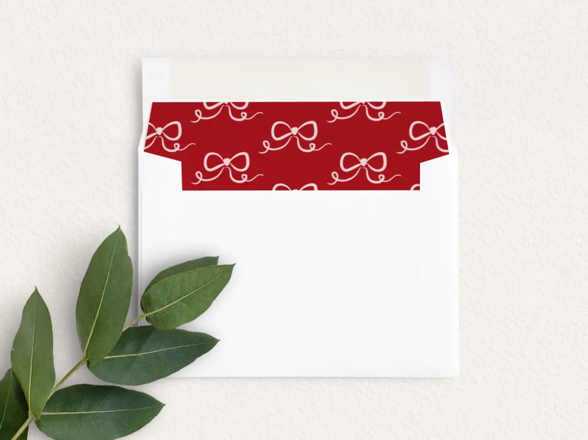 Envelope Liner inside Envelope