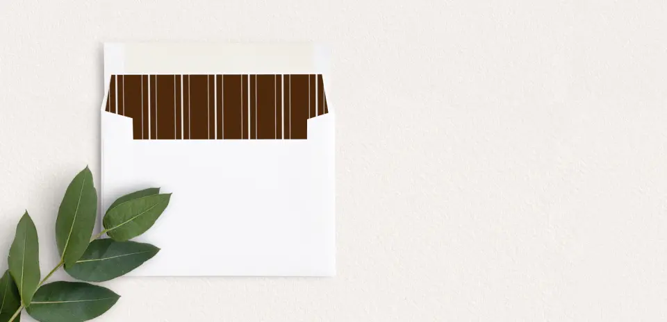 Envelope Liner inside Envelope