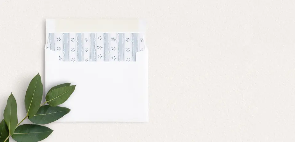 Envelope Liner inside Envelope