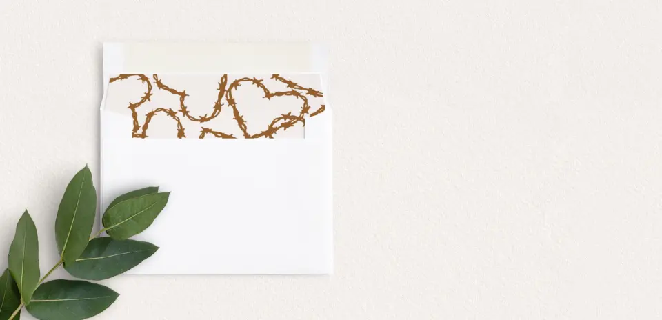 Envelope Liner inside Envelope