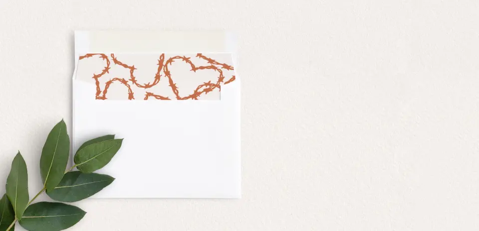 Envelope Liner inside Envelope