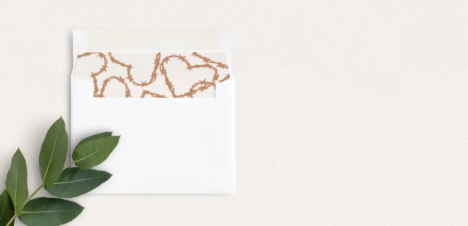 Envelope Liner inside Envelope