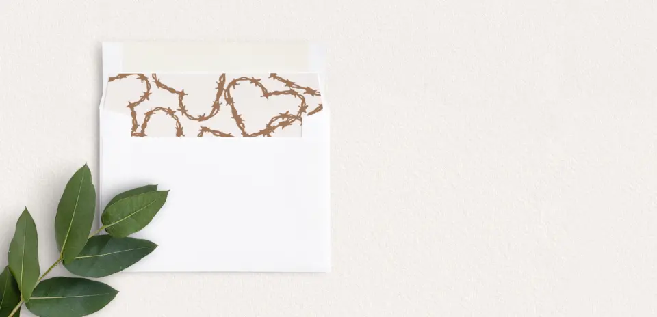 Envelope Liner inside Envelope