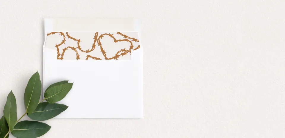 Envelope Liner inside Envelope