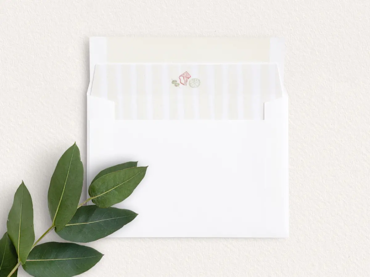 Envelope Liner inside Envelope