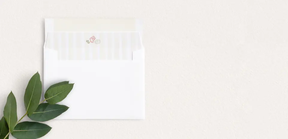 Envelope Liner inside Envelope