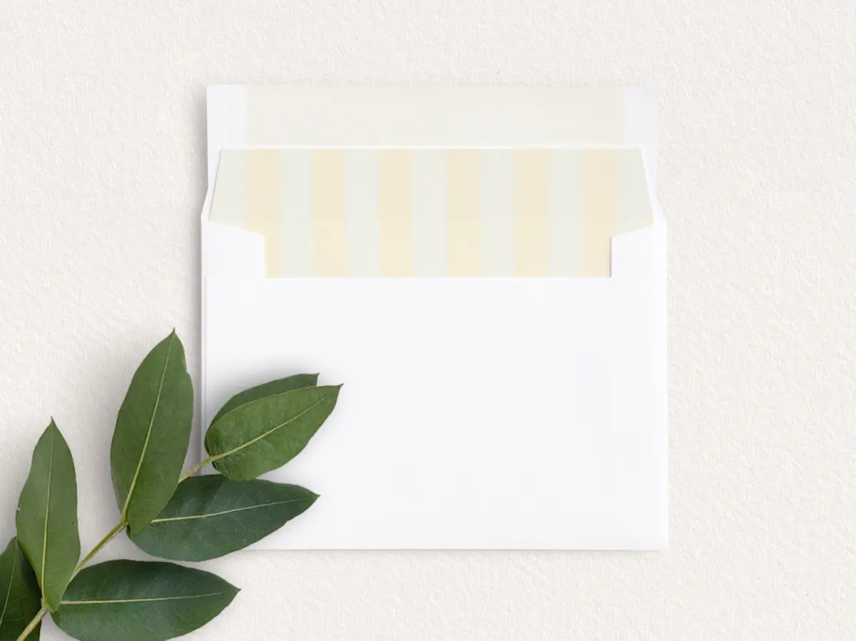 Envelope Liner inside Envelope