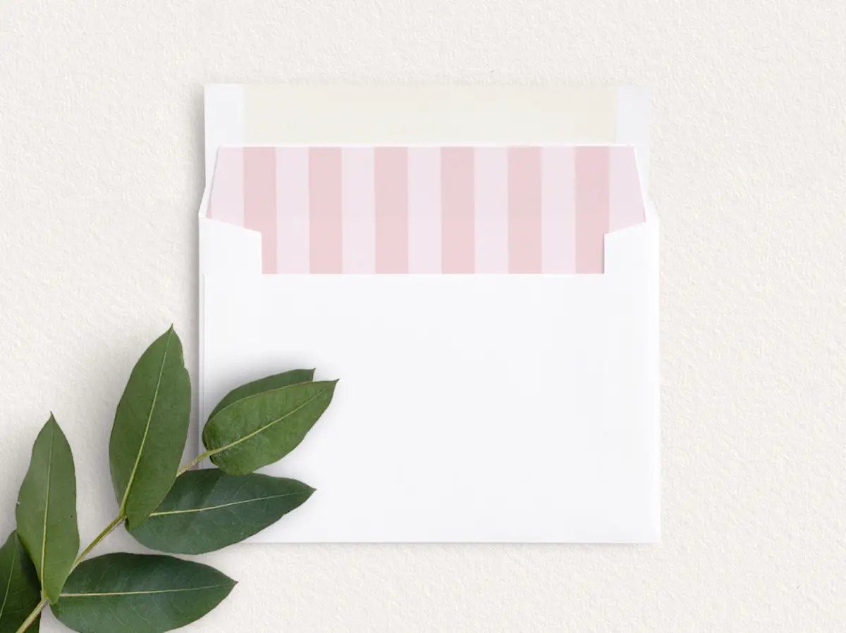 Envelope Liner inside Envelope