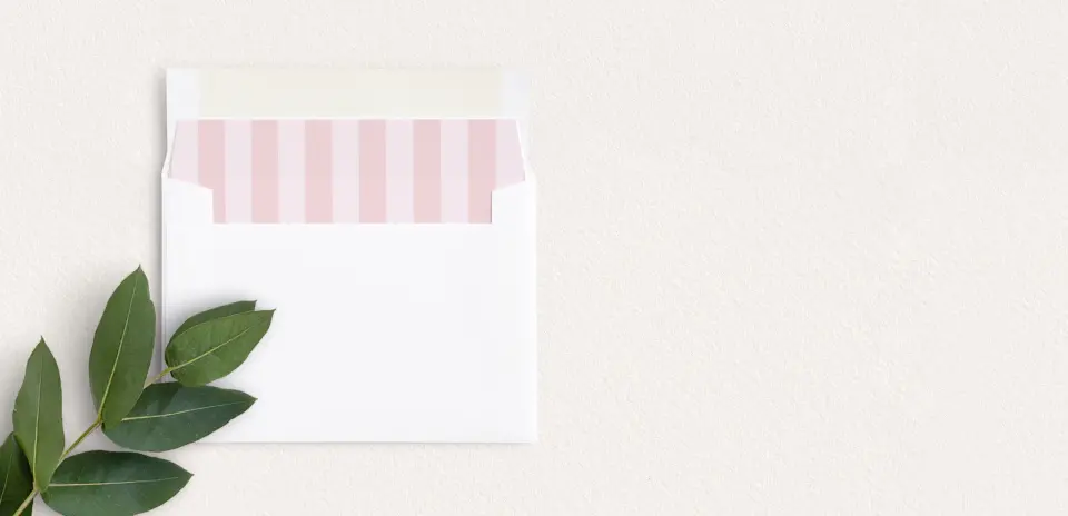 Envelope Liner inside Envelope