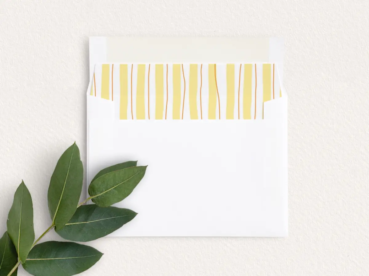 Envelope Liner inside Envelope