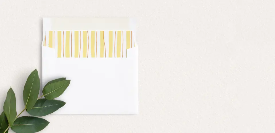 Envelope Liner inside Envelope
