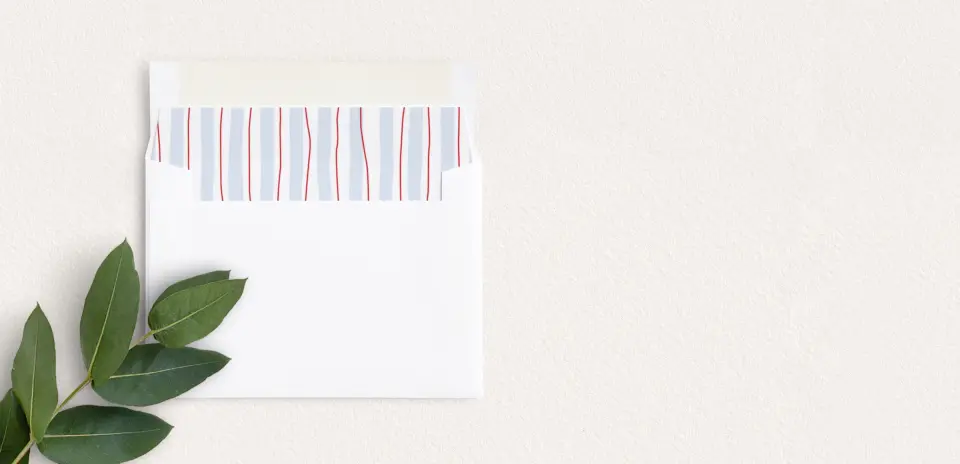 Envelope Liner inside Envelope