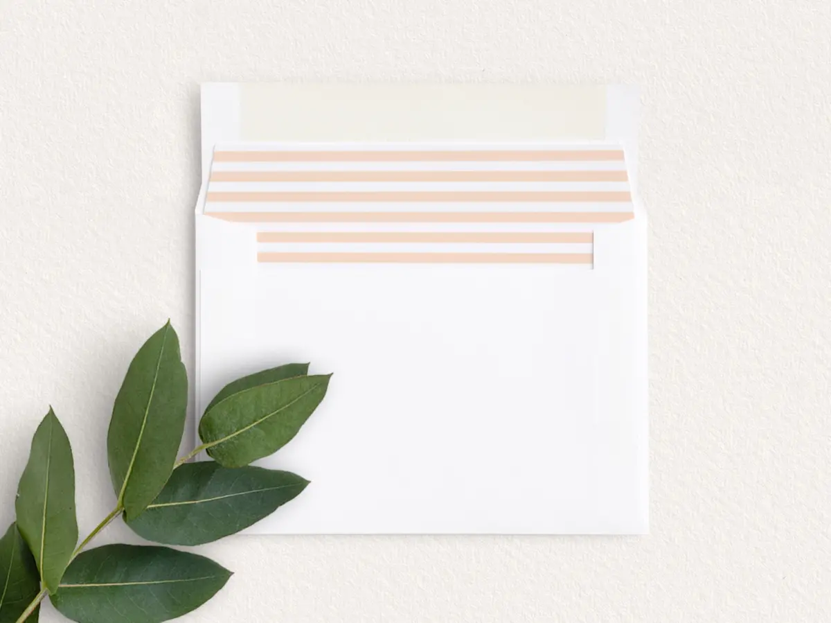 Envelope Liner inside Envelope