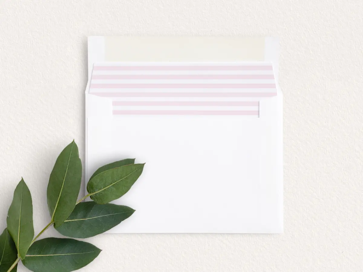 Envelope Liner inside Envelope