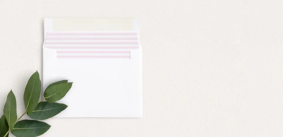 Envelope Liner inside Envelope