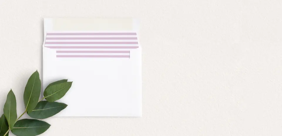 Envelope Liner inside Envelope