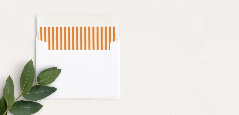 Envelope Liner inside Envelope