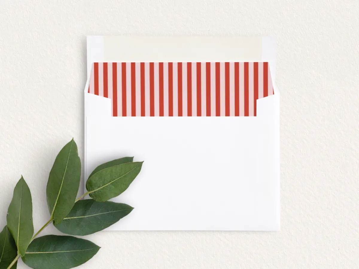 Envelope Liner inside Envelope