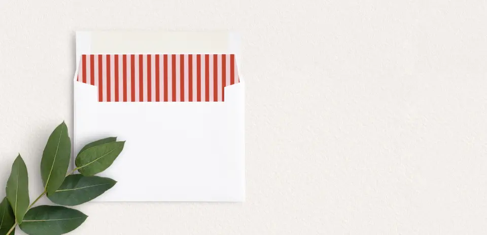 Envelope Liner inside Envelope