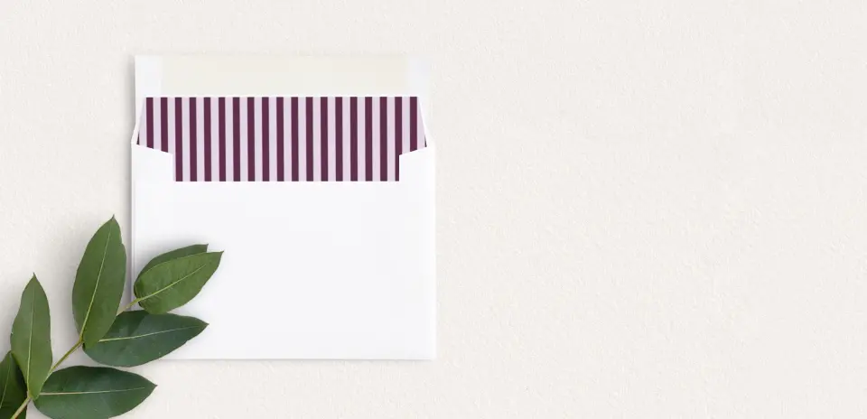 Envelope Liner inside Envelope