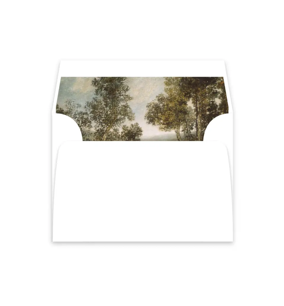 This is a  4⅞" x 4.563" Envelope Liners (ELM) called Holderness printed in full color