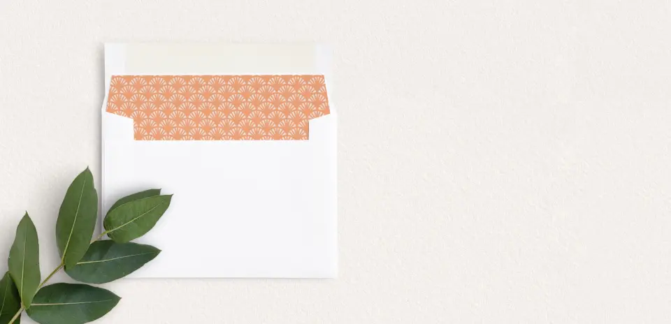 Envelope Liner inside Envelope
