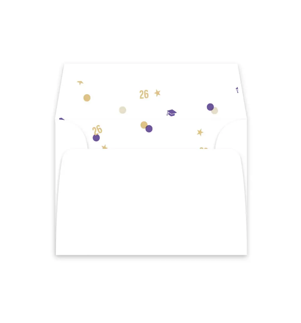 This is a  4⅞" x 4.563" Envelope Liners (ELM) called Confetti Toss printed in full color
