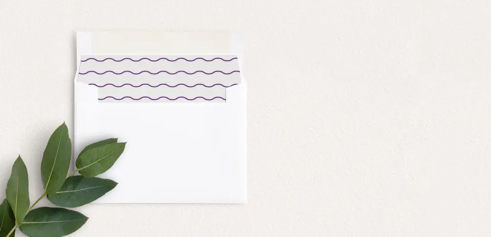 Envelope Liner inside Envelope