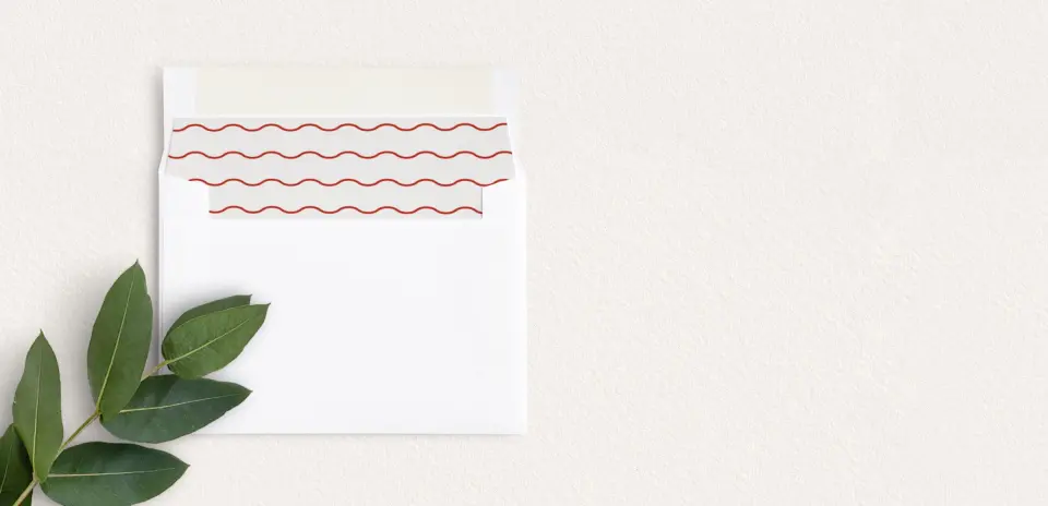 Envelope Liner inside Envelope