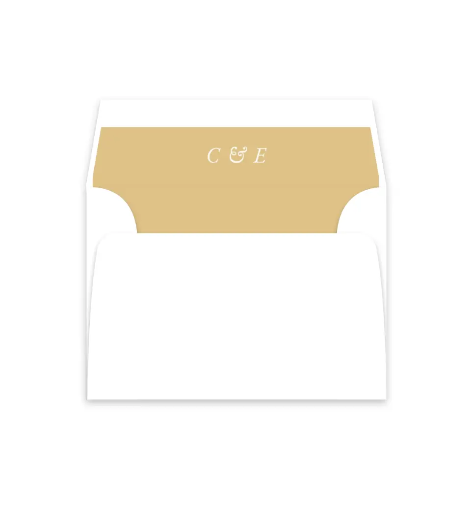 This is a  4⅞" x 4.563" Envelope Liners (ELM) called Lovely Frame printed in full color