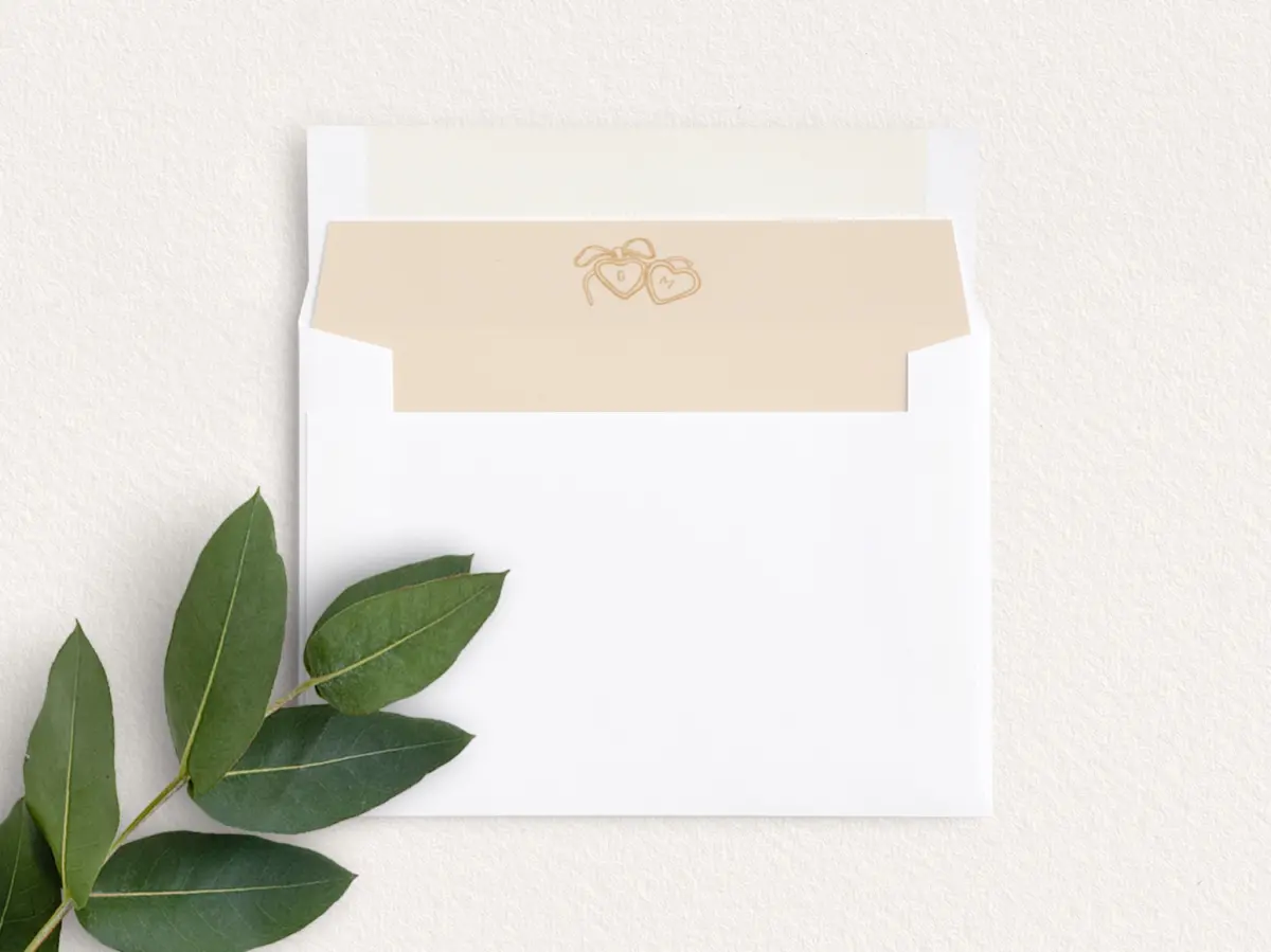 Envelope Liner inside Envelope