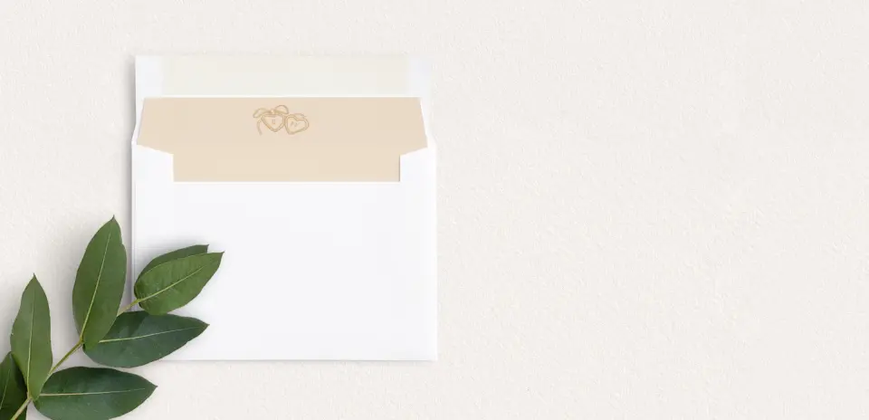 Envelope Liner inside Envelope