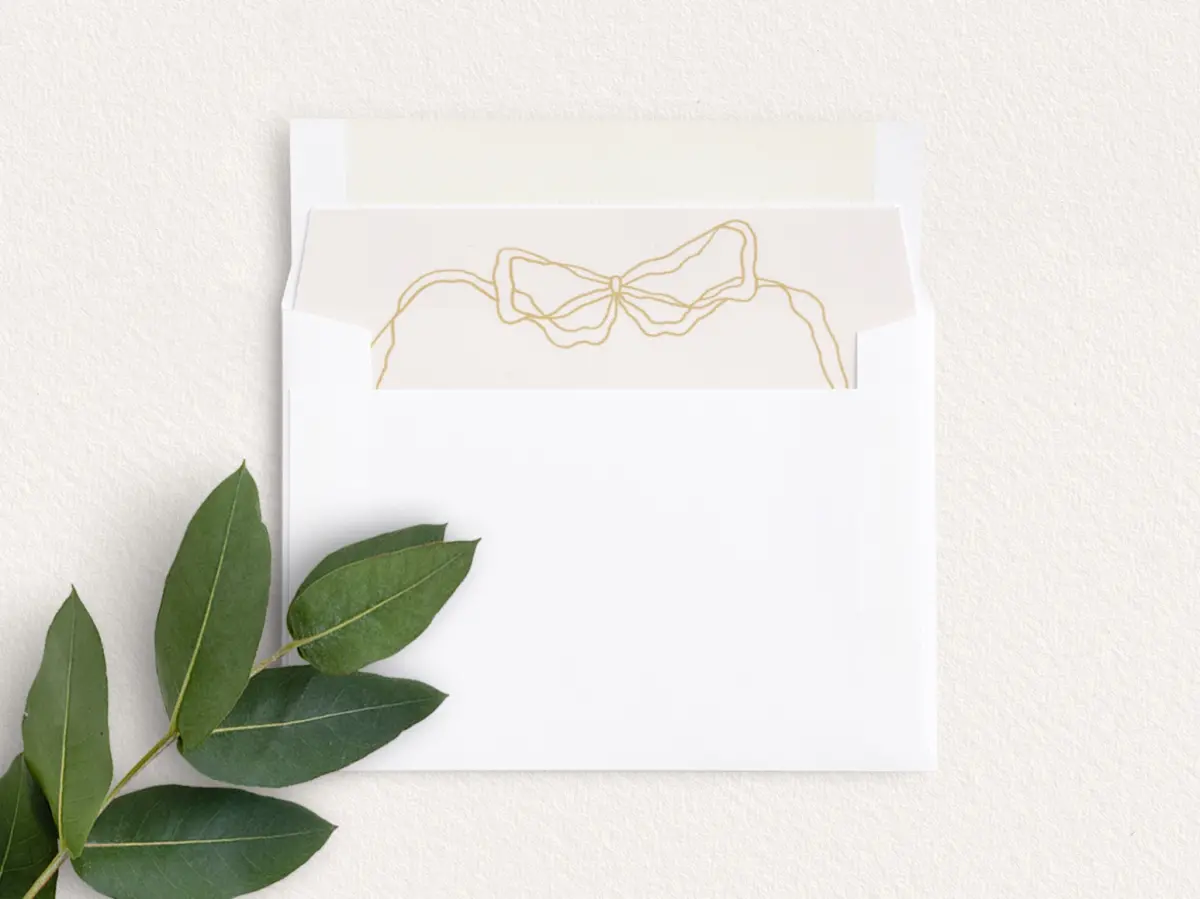 Envelope Liner inside Envelope