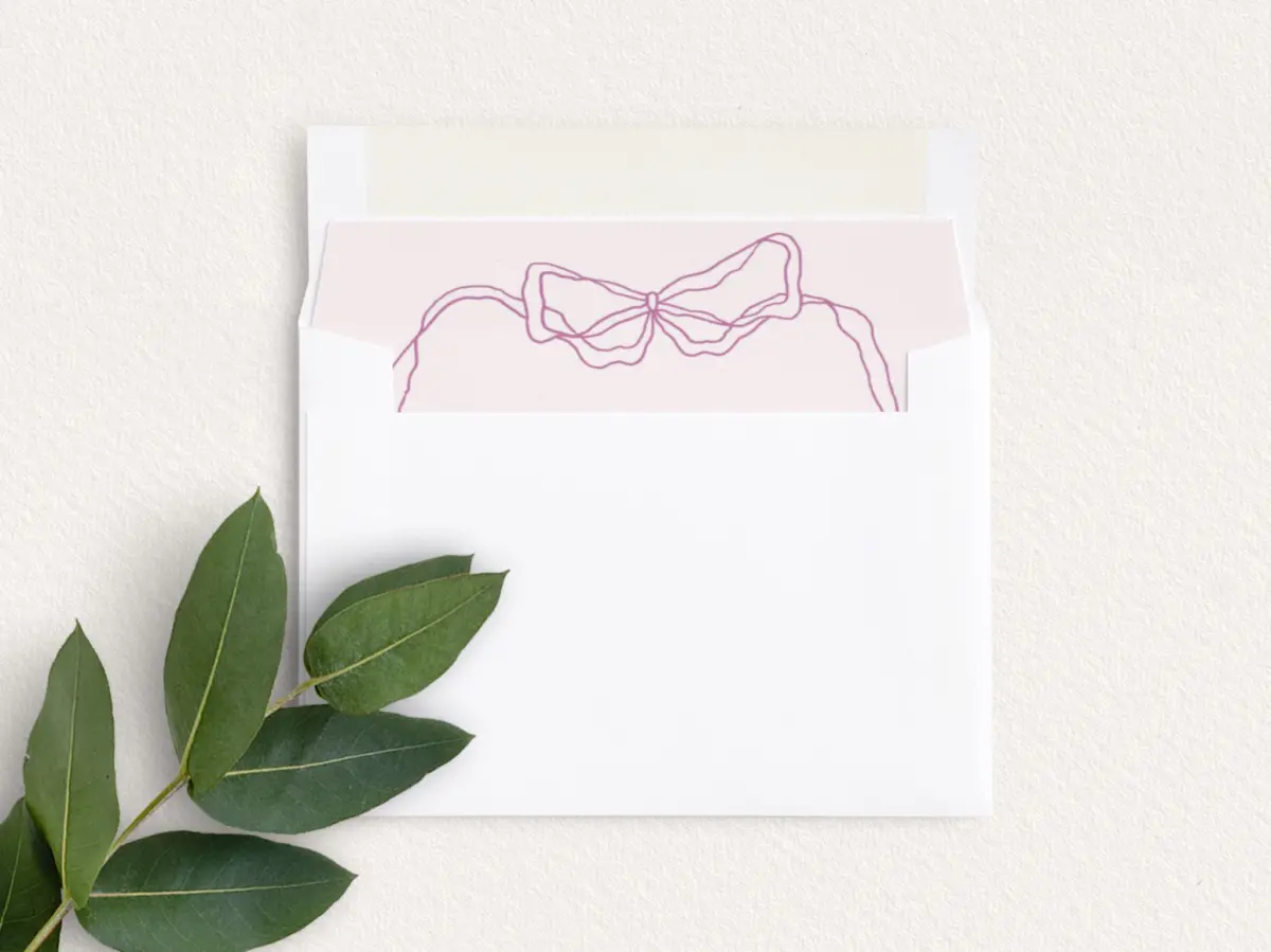 Envelope Liner inside Envelope