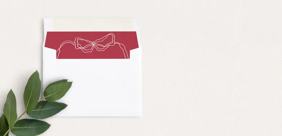 Envelope Liner inside Envelope