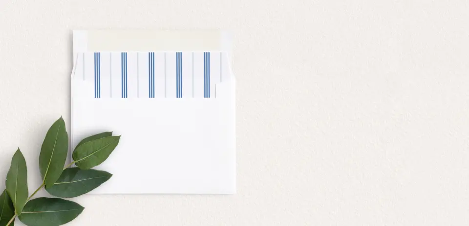Envelope Liner inside Envelope