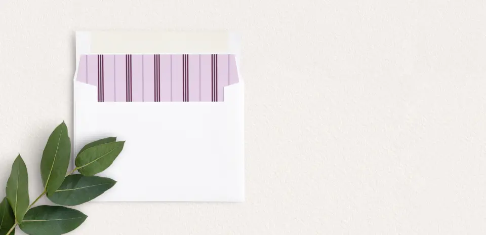 Envelope Liner inside Envelope
